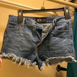 Hollister high rise shorts
